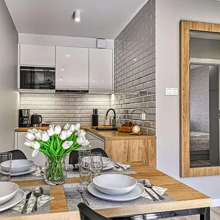 Daire Nadrzeczna, Sun & Snow Karpacz